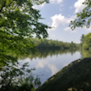 Meet your Posher, Kaylee